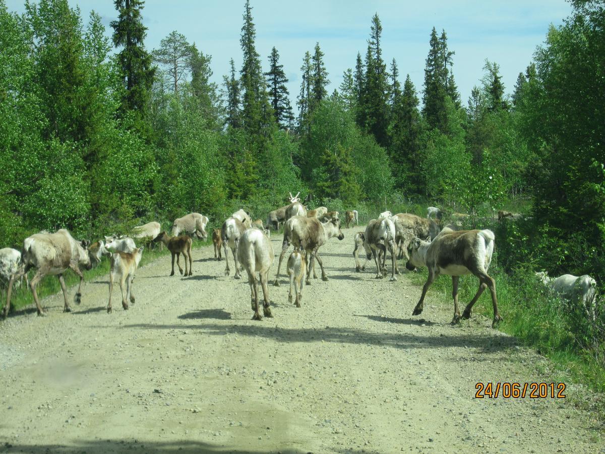 Ranta Aeaerelae Vuotso Exterior foto